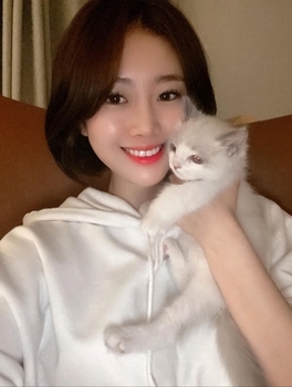 핑크 브릿지로 분위기 변신